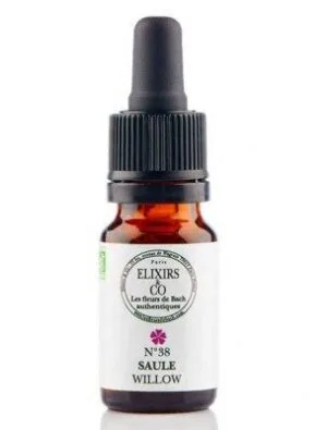 Elixirs and Co Elixir floral Bio Fleurs de Bach n38 Saule (Willow) 10 ml
