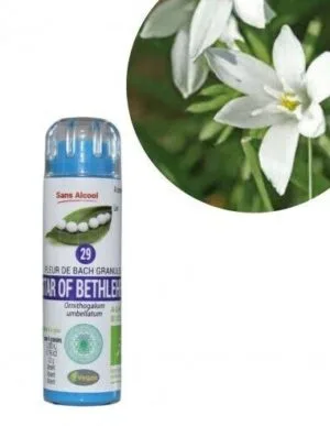 Kosmeo Fleur de Bach N°29 Star of Bethlehem - Etoile de Bethleem Bio sans alcool - 130 granules