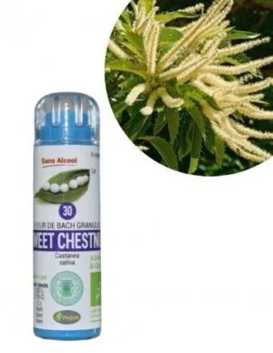 Kosmeo Fleur de Bach N°30 Sweet Chestnut - Chataignier Bio sans alcool - 130 granules