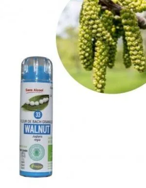 Kosmeo Fleur de Bach N°33 Walnut - Noyer Bio sans alcool - 130 granules