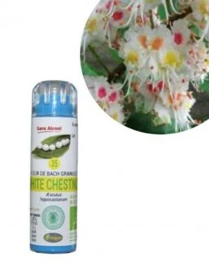 Kosmeo Fleur de Bach N°35 White Chestnut - Marronnier blanc Bio sans alcool - 130 granules