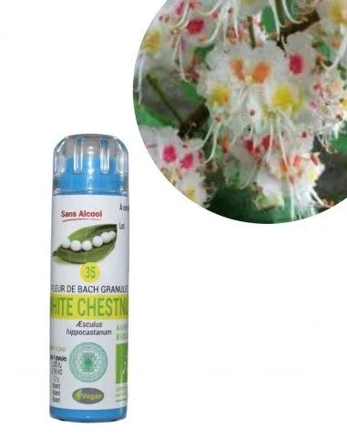 Kosmeo Fleur de Bach N°35 White Chestnut - Marronnier blanc Bio sans alcool - 130 granules