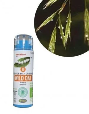 Kosmeo Fleur de Bach N°36 Wild Oat - Folle avoine Bio sans alcool - 130 granules