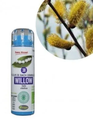 Kosmeo Fleur de Bach N°38 Willow - Saule Bio sans alcool - 130 granules