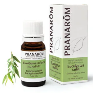 PRANAROM Huile essentielle Eucalyptus radié Fl/10ml