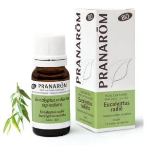 PRANAROM Huile essentielle bio Eucalyptus radié Fl/30ml