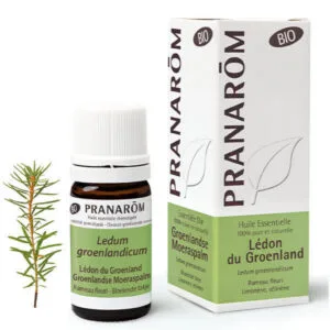 PRANAROM Huile essentielle bio Lédon du Groenland Fl/5ml