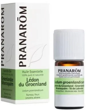 PRANAROM Huile essentielle Ledon Fl/5ml